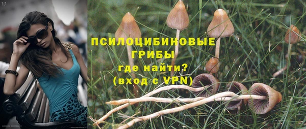 таблы Алзамай